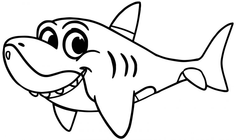 Coloriage Bébé Requin – Maison Bonte : Votre Guide pour Coloriage Requin