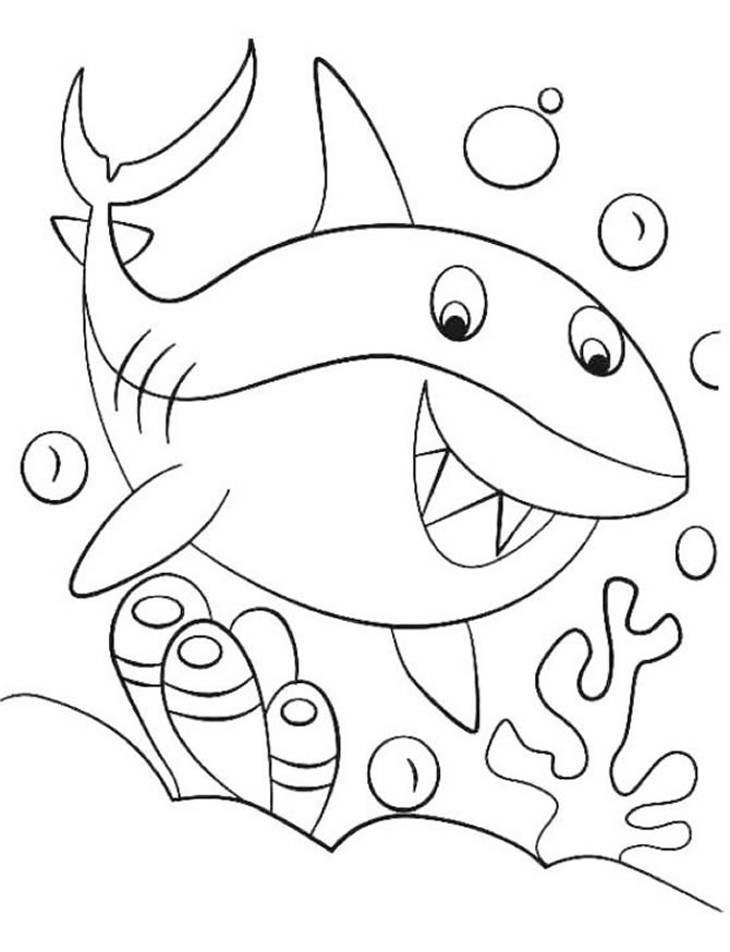 Coloriage Bébé Requin - Maison Bonte : Votre Guide tout Coloriage Bébé 