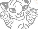 Coloriage Bébé Tigre 🐯! pour Dessin De Bébé Animaux