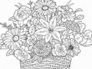 Coloriage Bouquet De Fleurs #161017 (Nature) - Album De avec Fleur Coloriage A Imprimer