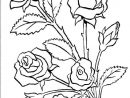 Coloriage Bouquet De Roses tout Rose À Colorier
