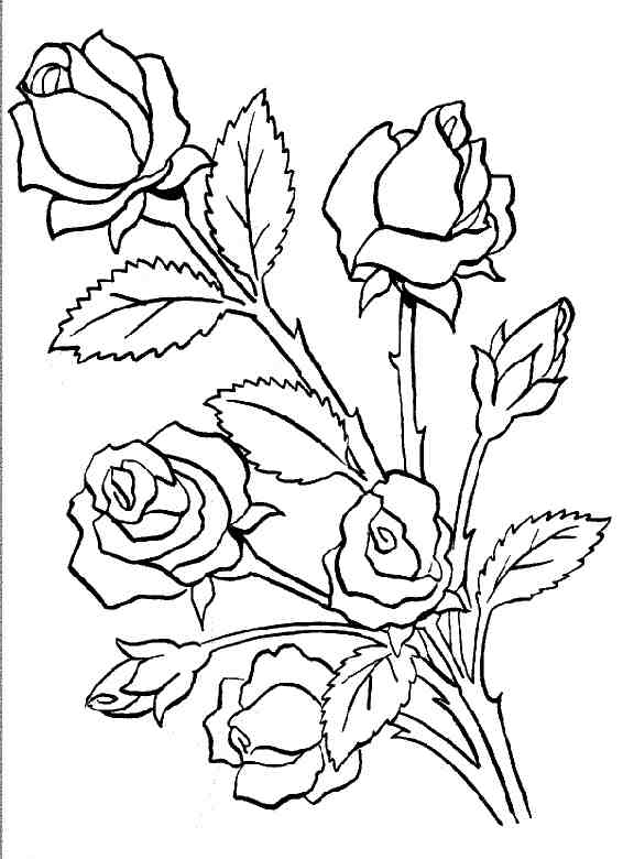 Coloriage Bouquet De Roses tout Rose À Colorier 