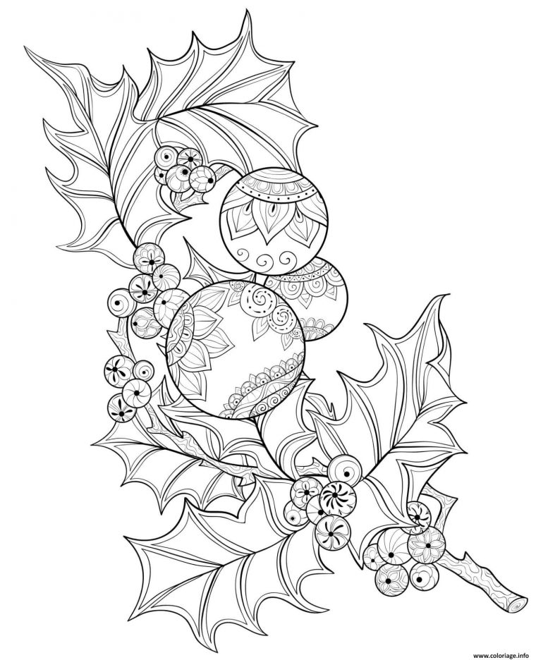 Coloriage Branche De Houx Frais Avec Des Babioles De Noel intérieur Coloriage De Noel