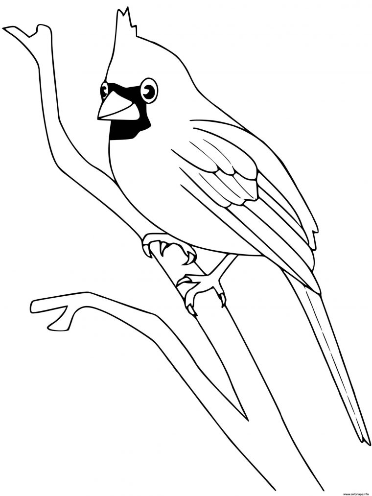 Coloriage Cardinal Oiseau Dessin Oiseau À Imprimer intérieur Coloriage Oiseaux À Imprimer