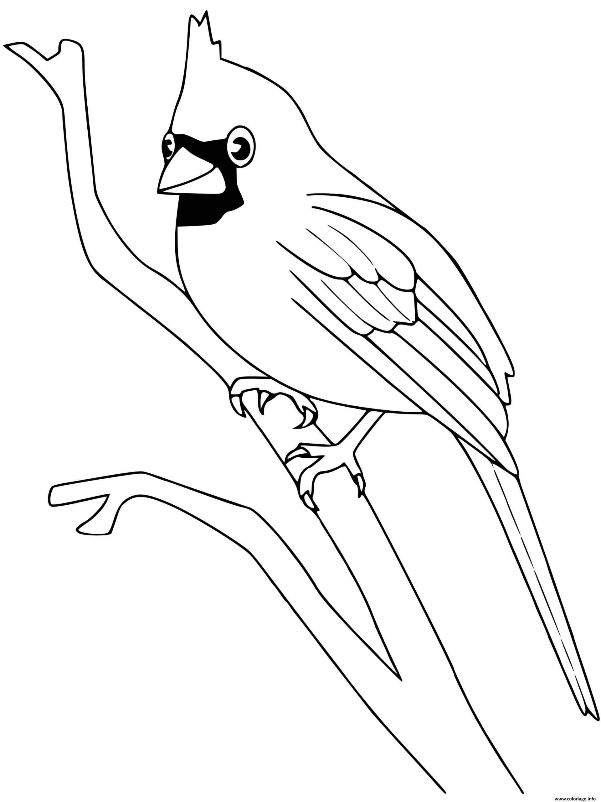 Coloriage Cardinal Oiseau Dessin Oiseau À Imprimer intérieur Coloriage Oiseaux À Imprimer