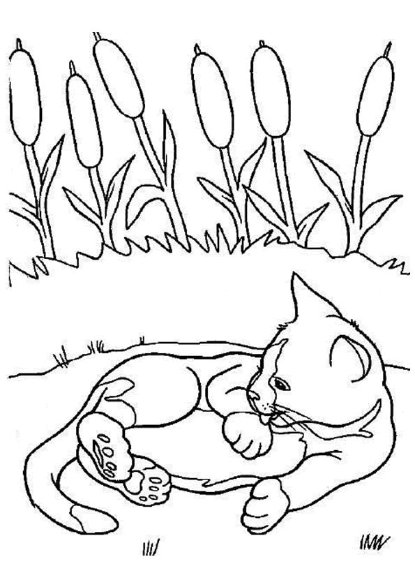 Coloriage Chat Mignon Se Nettoie Dessin Gratuit À Imprimer concernant Coloriage De Chat A Imprimer Gratuit