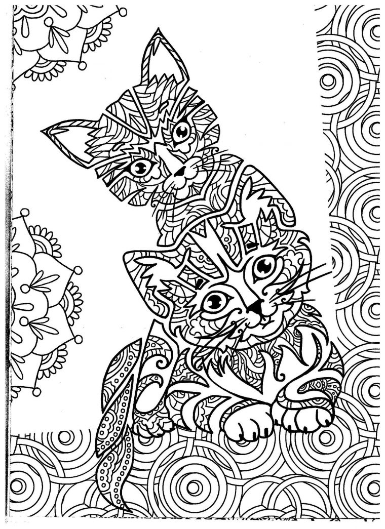 Coloriage Chat, Pyjamasque Coloriage, Coloriage dedans Coloriage De Chat