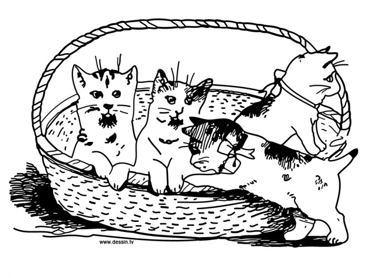 Coloriage Chaton #18188 (Animaux) – Album De Coloriages dedans Coloriage De Chats