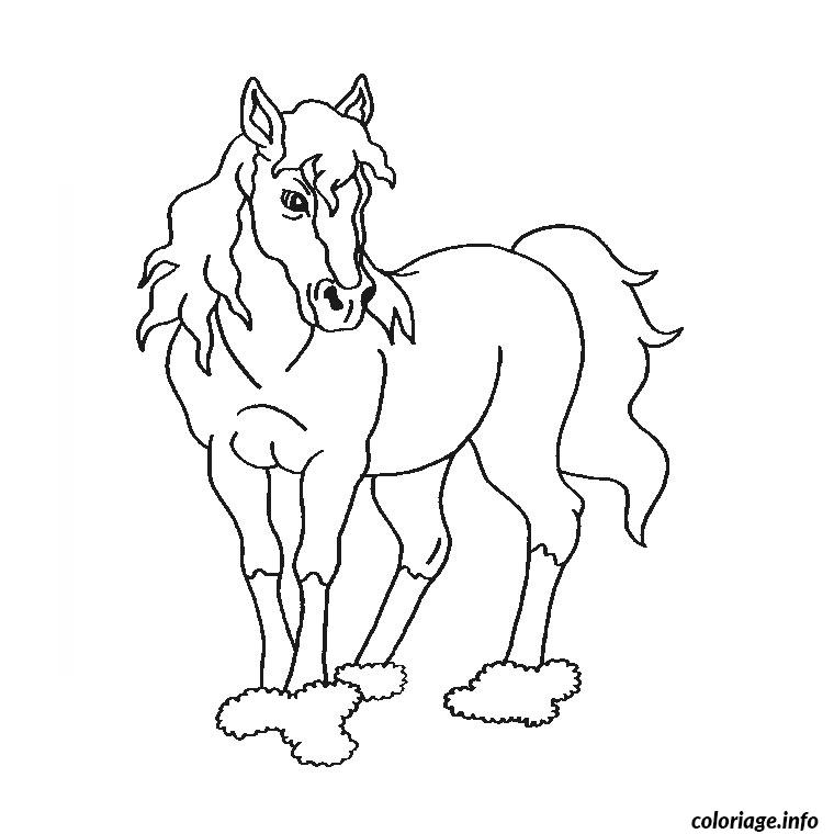 Coloriage Cheval Sauvage Dessin Cheval À Imprimer serapportantà Dessins De Chevaux À Imprimer 