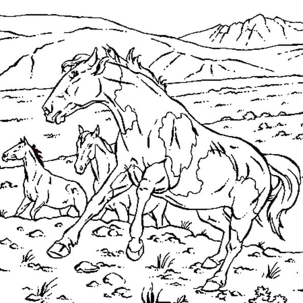 Coloriage Cheval Sauvage En Ligne Gratuit À Imprimer avec Jeux De Coloriage De Cheval Gratuit 