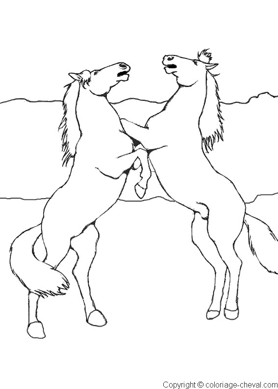 Coloriage Chevaux Cabrés Maternelle Dessin Gratuit À Imprimer à Jeux De Coloriage De Cheval Gratuit 