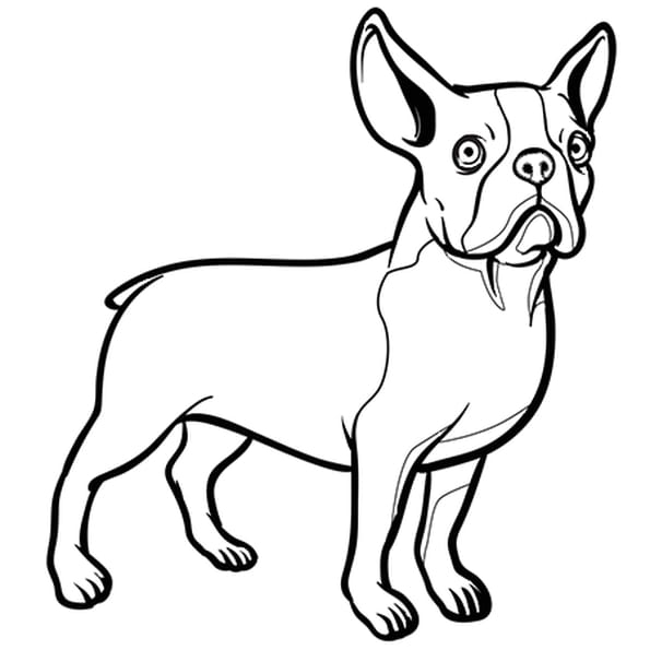 Coloriage Chien Bouledogue Nain En Ligne Gratuit À Imprimer dedans Dessin De Chien De Chasse A Imprimer