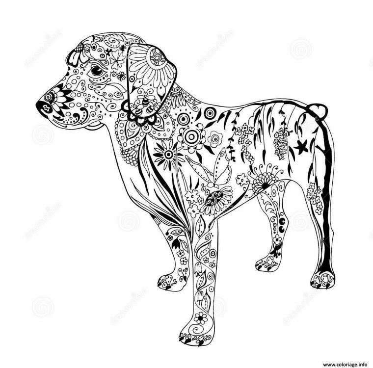 Coloriage Chien Doodle Zentangle Animaux Adulte Dessin dedans Dessin Animaux À Colorier