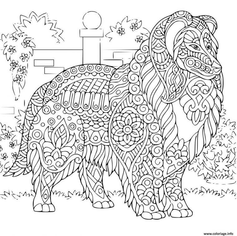 Coloriage Chien Retriever De Nouvelle Ecosse Mandala tout Mandala Chien