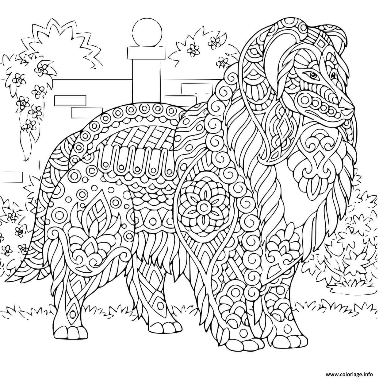 Coloriage Chien Retriever De Nouvelle Ecosse Mandala tout Mandala Chien 