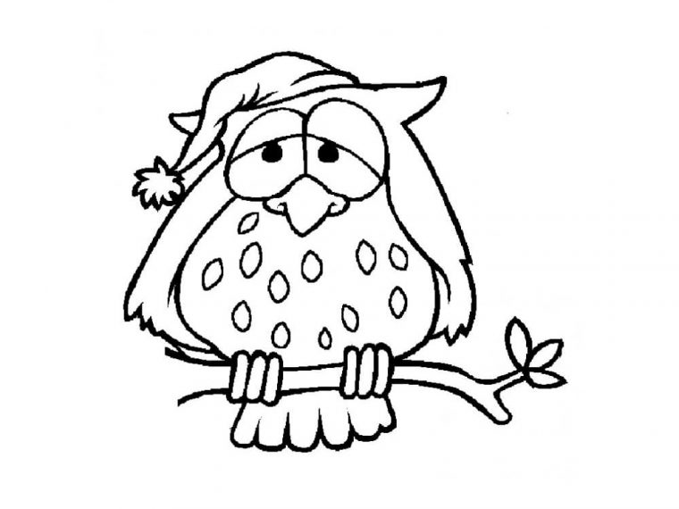 Coloriage Chouette. 100 Images De Rapaces Gratuites dedans Coloriage De Chouette