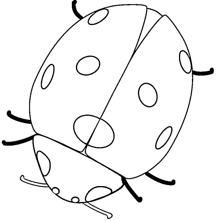 Coloriage Coccinelle #3418 (Animaux) - Album De Coloriages serapportantà Dessiner Coccinelle 