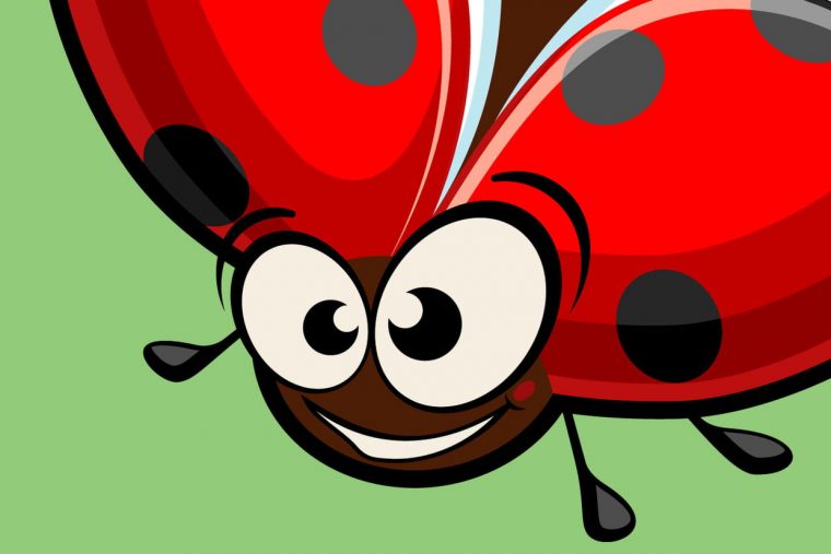 Coloriage Coccinelle Sur Hugolescargot à Dessin De Coccinelle