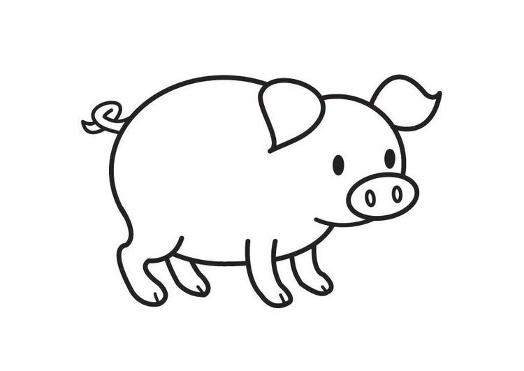 Coloriage Cochon - Coloriages Gratuits À Imprimer dedans Dessin Cochon 