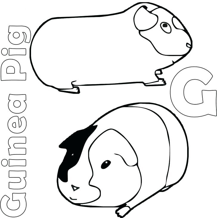 Coloriage Cochon D&amp;#039;Inde Gratuit À Imprimer Et Colorier  Adf pour Dessin Cochon D Inde 