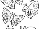 Coloriage Collection De Petites Betes Escargot Papillon à Coloriage De Papillons
