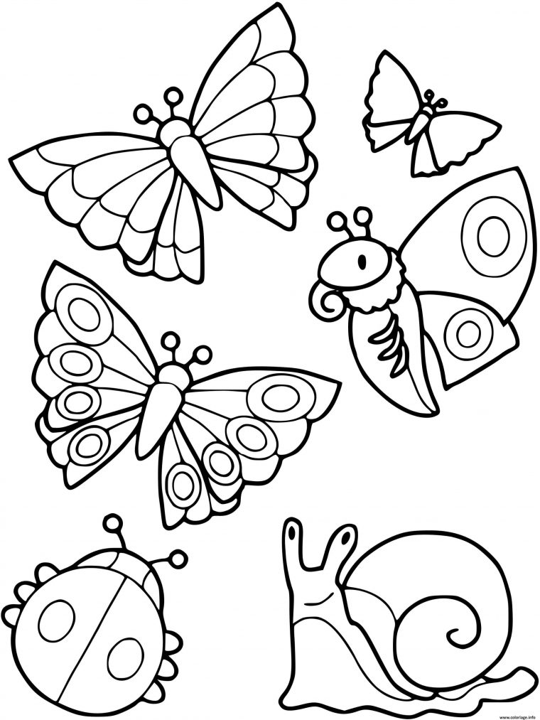 Coloriage Collection De Petites Betes Escargot Papillon à Coloriage De Papillons