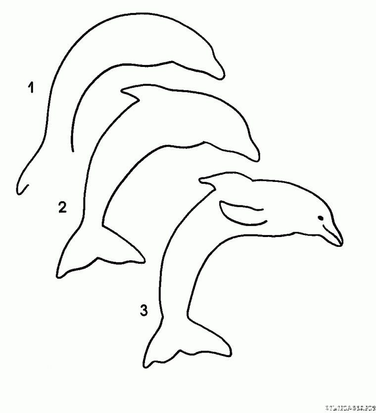 Coloriage Coloriage Dauphin Gratuit – Animaux serapportantà Coloriage Dauphin En Ligne