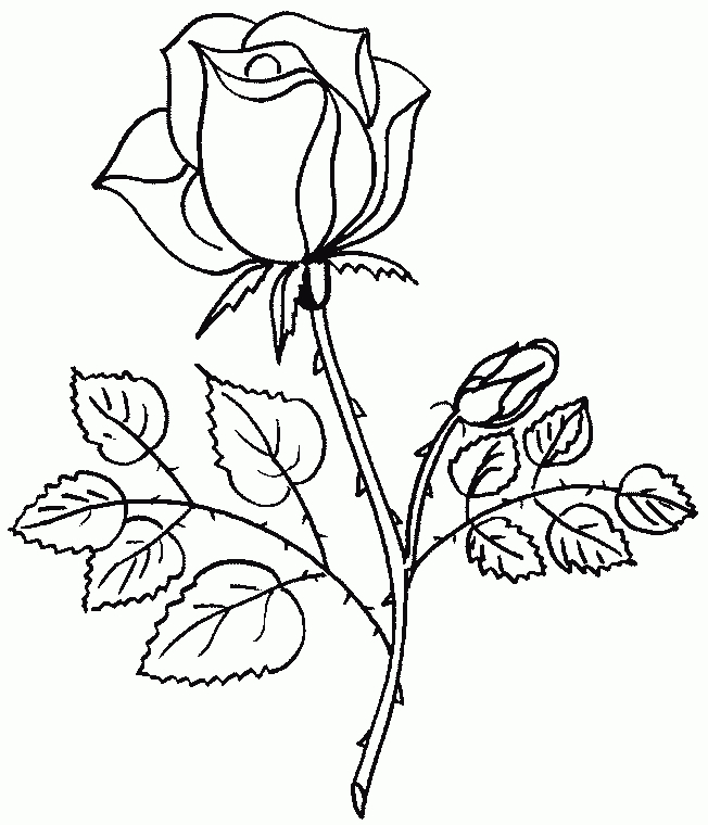 Coloriage  Coloriage Rose, Dessin De Fleurs Au Crayon concernant Mes Coloriages Com