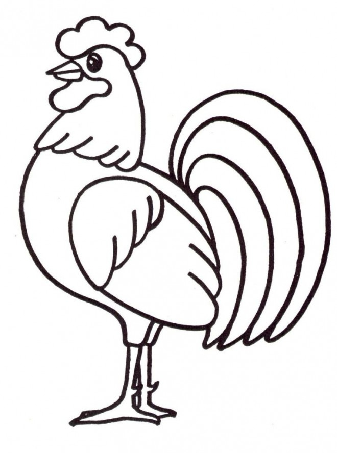 Coloriage Coq 1 Dessin Gratuit À Imprimer destiné Poule Facile A Dessiner