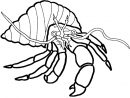 Coloriage Crabe #4673 (Animaux) - Album De Coloriages encequiconcerne Coloriage De Crabe