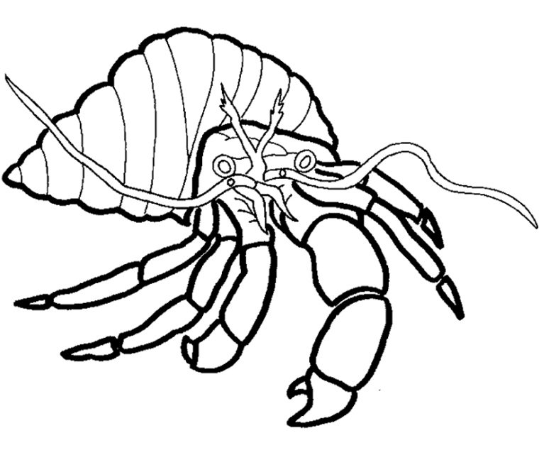 Coloriage Crabe #4673 (Animaux) – Album De Coloriages encequiconcerne Coloriage De Crabe