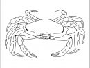 Coloriage Crabe - Oh Kids Fr à Coloriage De Crabe