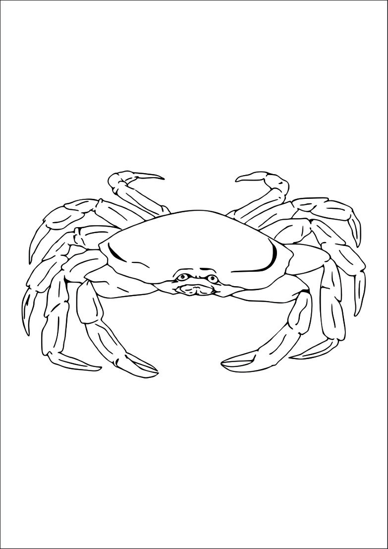 Coloriage Crabe - Oh Kids Fr à Coloriage De Crabe 