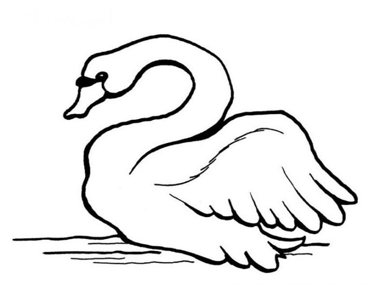 Coloriage Cygne #5002 (Animaux) – Album De Coloriages concernant Dessin De Cygne