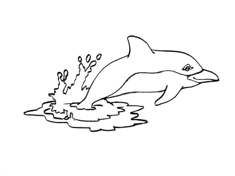 Coloriage Dauphin 2 – Coloriage Dauphins – Coloriages Animaux dedans Dessin Dauphins