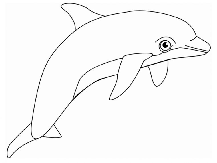 Coloriage Dauphin #5098 (Animaux) – Album De Coloriages serapportantà Dessin Dauphins