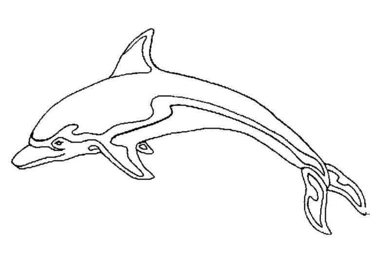 Coloriage Dauphin #5123 (Animaux) – Album De Coloriages concernant Dessin Dauphins