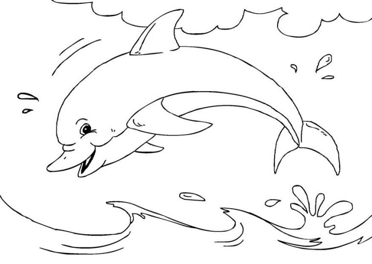 Coloriage Dauphin – Coloriages Gratuits À Imprimer destiné Coloriage Dauphin