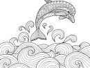 Coloriage Dauphin Fait Un Saut Ocean Animal Marin Anti encequiconcerne Coloriage À Imprimer Gratuit