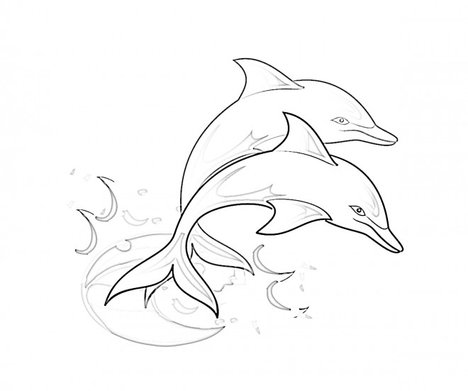 Coloriage Dauphins À Télécharger à Coloriage De Requin À Imprimer 