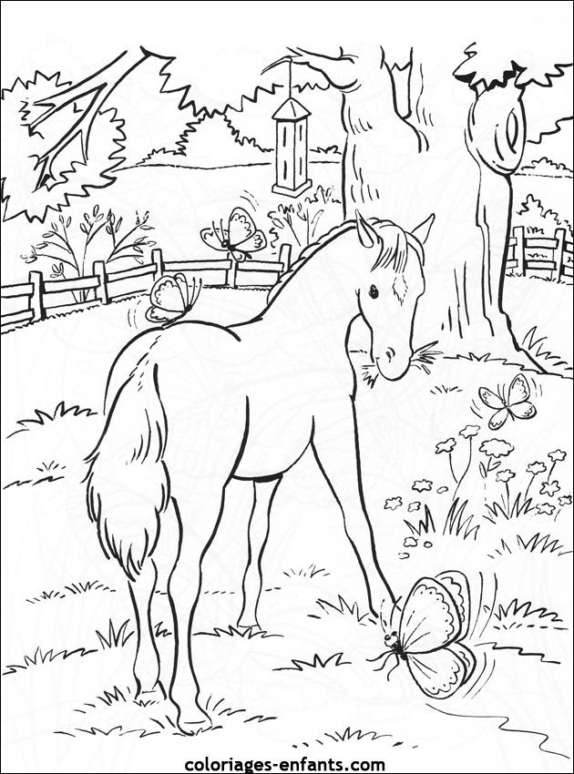 Coloriage De Cheval À Imprimer concernant Dessin A Imprimer Chevaux 