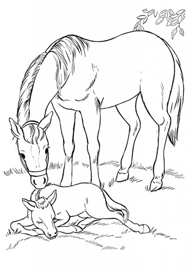 Coloriage De Cheval À Imprimer Gratuitement  Moncoloriage.fr à Des Dessin A Imprimer