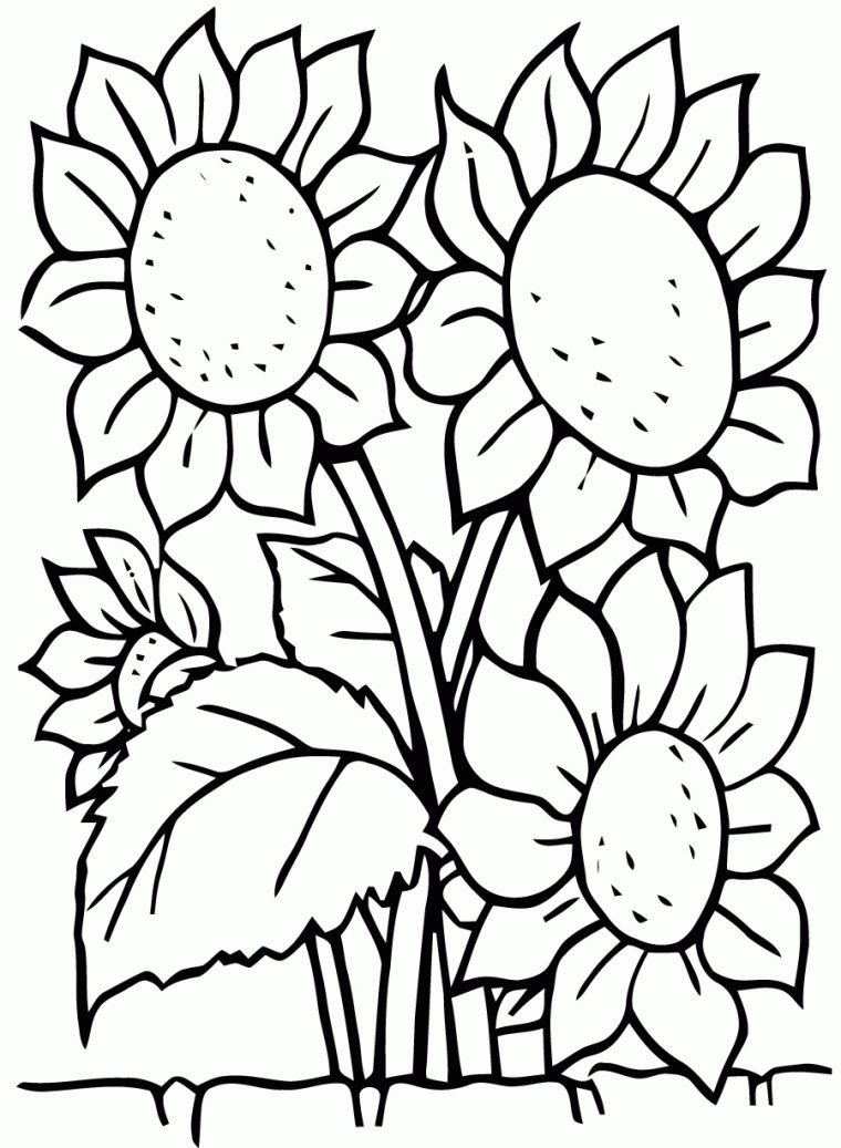 Coloriage De Fleurs À Telecharger Gratuitement – Coloriage à Dessin Des Fleurs A Imprimer