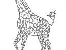 Coloriage De Girafe Unique Photographie Dessins Gratuits À concernant Coloriage Girafe