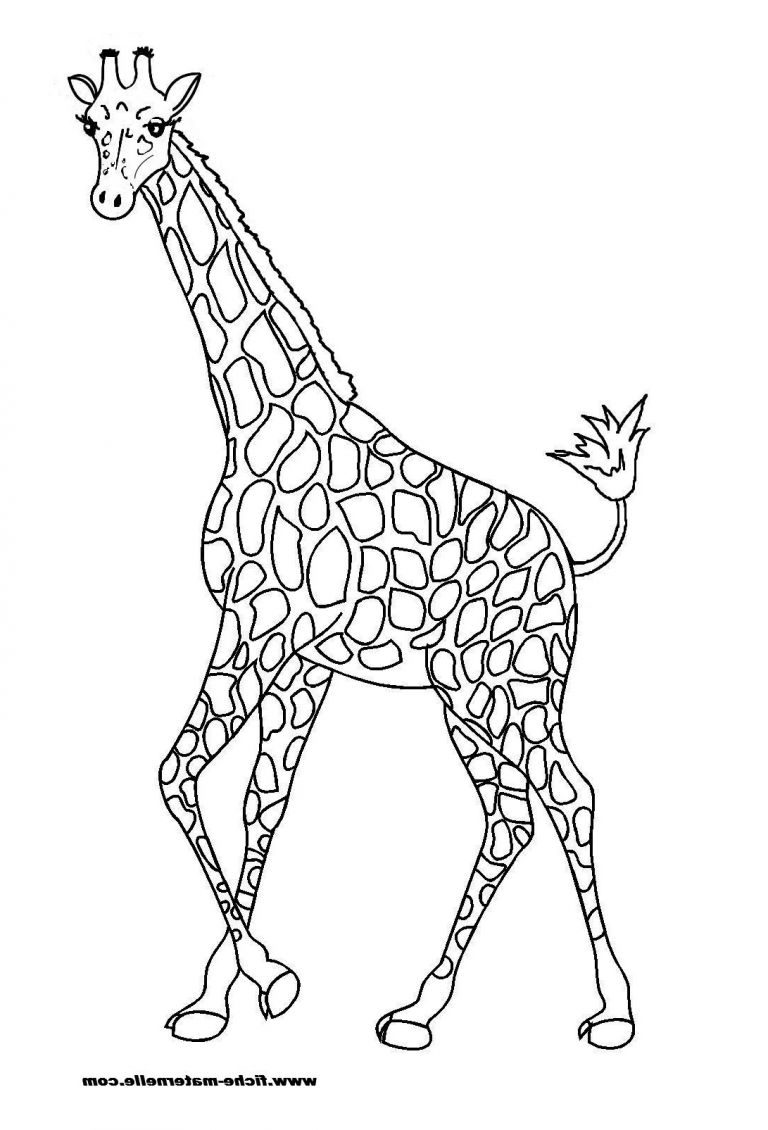 Coloriage De Girafe Unique Photographie Dessins Gratuits À concernant Coloriage Girafe 