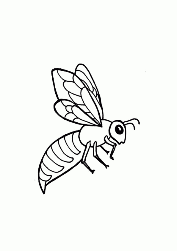 Coloriage De La Petite Abeille Solitaire à Comment Dessiner Une Abeille 