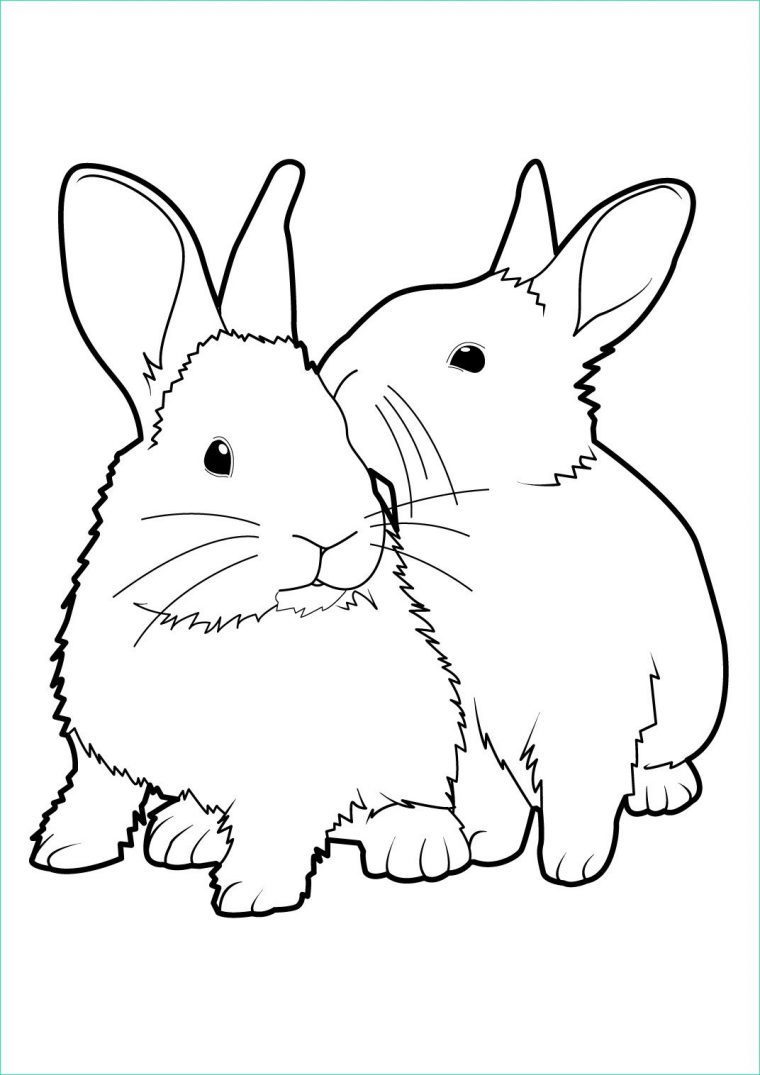 Coloriage De Lapin De Paques Beau Photos Vrac Coloriage pour Vrac Coloriage