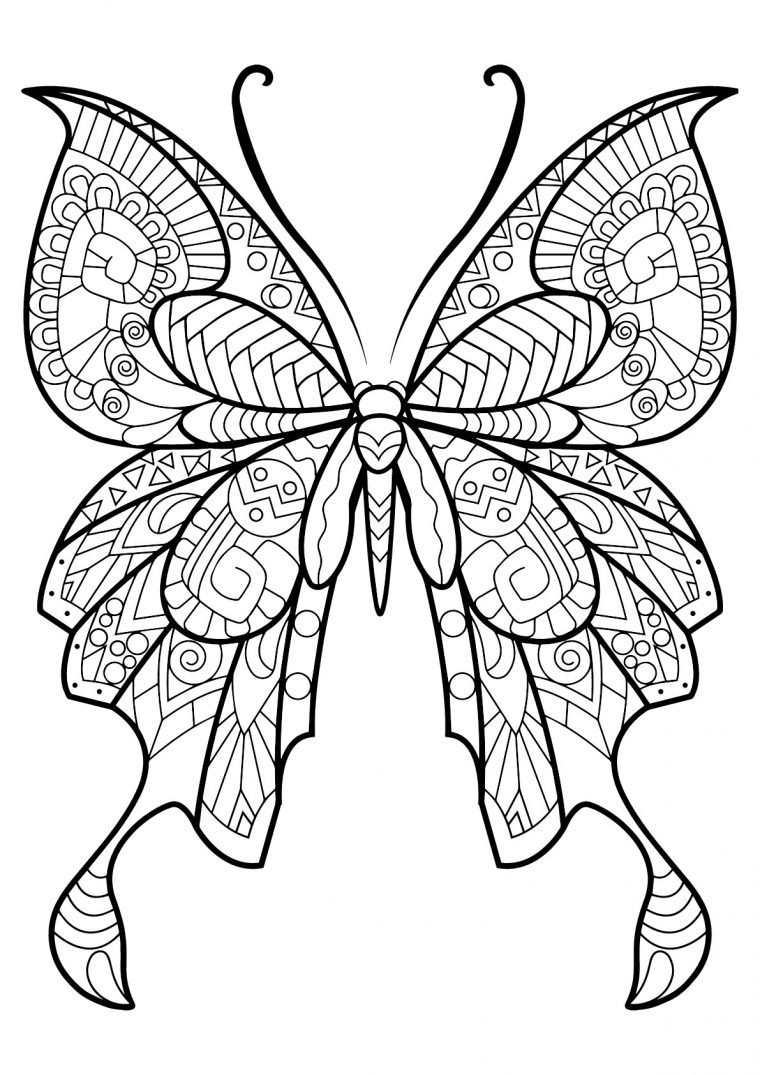 Coloriage De Papillons Pour Enfants – Coloriage De pour Papillon Coloriage