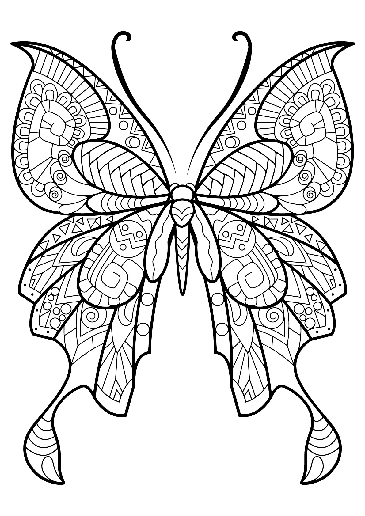 Coloriage De Papillons Pour Enfants - Coloriage De pour Papillon Coloriage