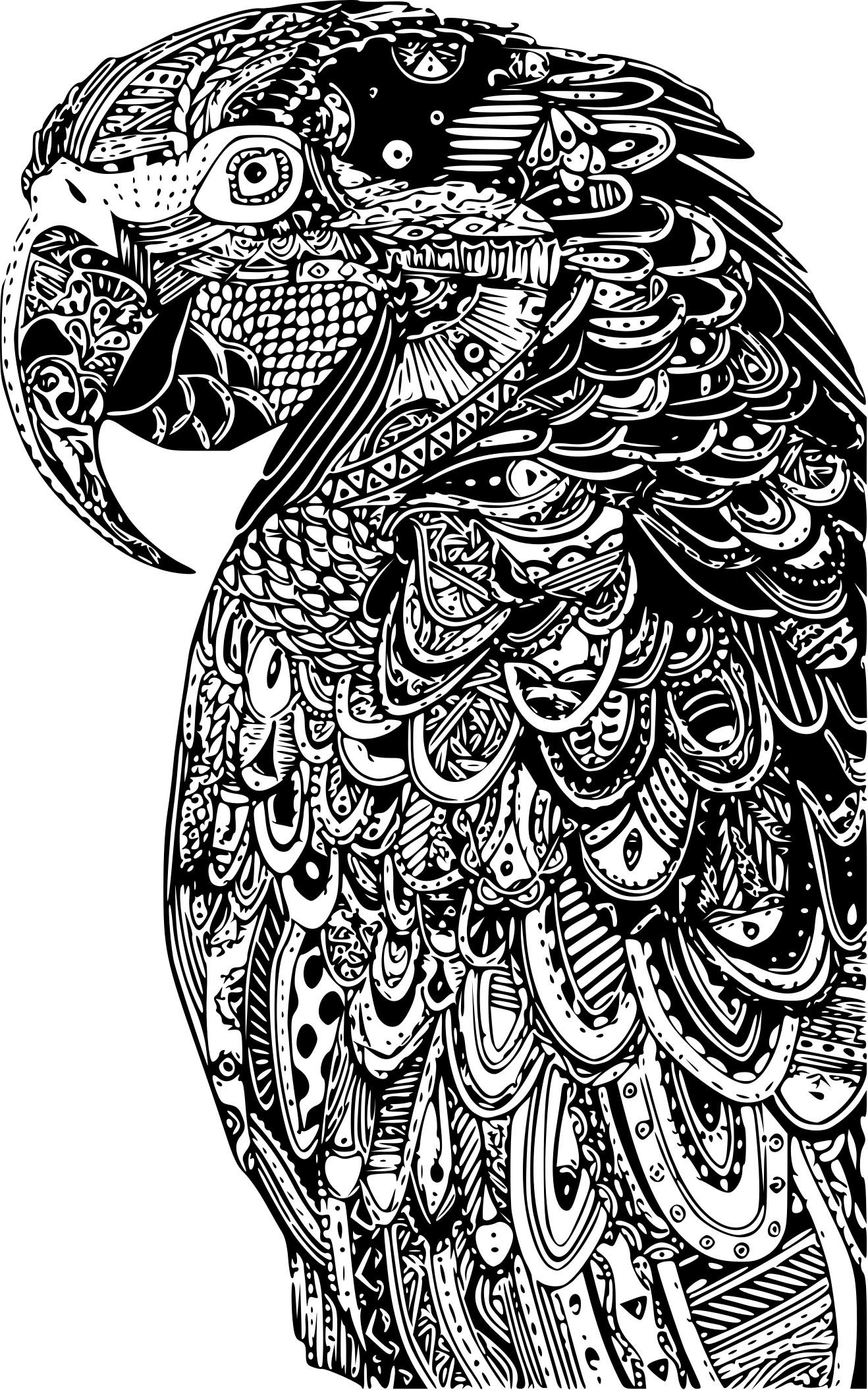 Coloriage De Perroquet A Imprimer - Gratuit Coloriage concernant Coloriage Tigre À Imprimer 